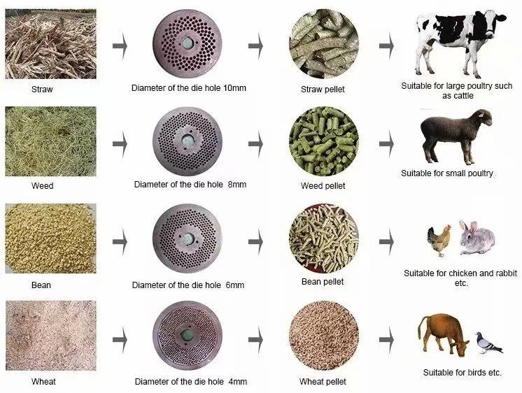 mini-dog-feed-pellet-machine 