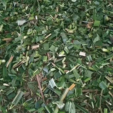 small-forage-chaff-cutter-machine