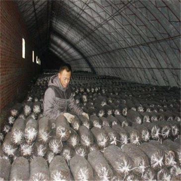 culture-medium-separating-crusher-machine culture-medium-separating-crusher-machine