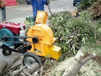 Θραυστήρας ξύλου στοκ